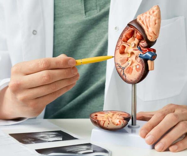 Digital Marketing Strategies for Urologists